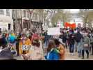 Troyes : Manifestation pour demander la réouverture des lieux culturels