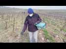 Reporter en Champagne épisode 8
