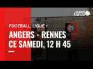 VIDEO. Ligue 1 : Angers - Stade Rennais : L'avant match