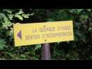 Gourge d'Asque : La petite Amazonie des Pyrénées