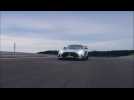 Mercedes-AMG GT Black Series : présentation vidéo