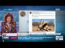 #Magnien, la chronique des réseaux sociaux : Une chasseuse de girafes provoque l'indignation - 28/07