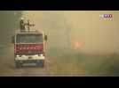 Incendie en Gironde : 295 hectares de pins partis en feu