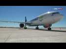 Air Caraïbes : une compagnie aérienne en zone de turbulences