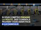 Canicule : les conseils pour l'aborder en voiture