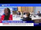 Hyperactif, l'exécutif en fait-il trop ? - 29/07