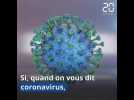 Coronavirus: Qui va remporter la course au vaccin ?