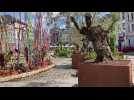 Les jardins éphémères sur la Grand'Place de Mons