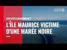 Environnement. L'Île Maurice victime d'une marée noire