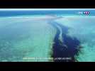 Marée noire à l'île Maurice : la France envoie des experts et du matériel