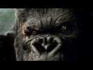 King Kong : Le coup de coeur de Télé 7
