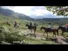 Pyrénées : les beautés cachées du plateau de Bénou