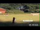 Ils terrorisent un cheval à Heusden-Zolder