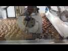 Le chocolat coule à flot à l'usine Cemoi