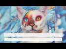 Insolite : le chat aux yeux de David Bowie star des réseaux sociaux