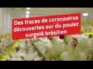 Des traces de coronavirus découvertes sur du poulet surgelé brésilien