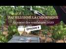 Vendanges 2020 : à la découverte du champagne 