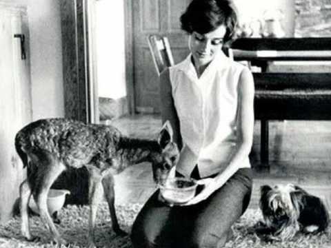 VIDEO : Dcouvrez ces clbrits qui ont des animaux insolites !