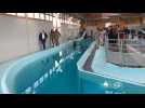 La thalasso pour les chevaux en Normandie