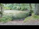 Lac Fleurus