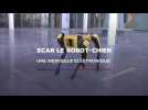 SCAR LE ROBOT-CHIEN