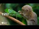 Tiny World : Le coup de coeur de Télé 7