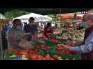 C'est déjà la fin de la saison pour les tomates