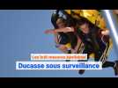 Ducasse sous surveillance: les 8 mesures sanitaires