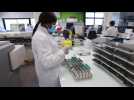 Le laboratoire Biocentre gère de plus en plus de demandes de tests PCR