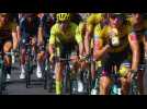 Tour de France 2020 - Primoz Roglic : 