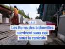 A Lille, les Roms des bidonvilles survivent sans eau sous la canicule