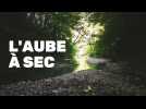L'Aube à sec