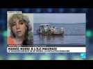 Marée noir à l'île Maurice: la pire catastrophe écologique de son histoire