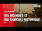 Californie. Des incendies et une canicule historique