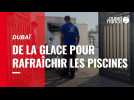 Dubaï. De la glace pour rafraîchir les piscines