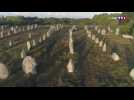 A la découverte des fascinants alignements de menhirs à Carnac