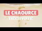 Le chaource décrypté
