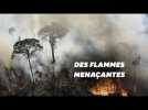 Au Brésil, la forêt amazonienne continue de brûler