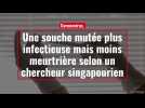 Coronavirus. Une souche mutée plus infectieuse mais moins meurtrière