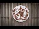 Coronavirus : l'OMS alerte une nouvelle fois sur la situation en Europe
