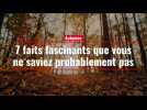 Faits fascinants sur l'automne que vous ne saviez probablement pas