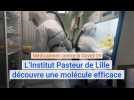 Médicament contre le Covid-19 : l'Institut Pasteur de Lille découvre une molécule efficace