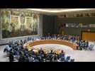 Haut-Karabakh : réunion d'urgence du Conseil de sécurité de l'ONU