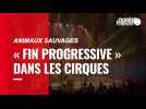 Animaux sauvages. Fin progressive dans les cirques et dans les delphinariums