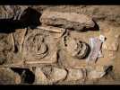 Vieilles tombes et futur parc archéologique à Sagone