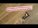 L'actualité de l'Artois vue par les photographes de La Voix du Nord