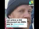 Ce pin est l