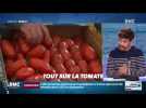 Dupin Quotidien : Tout sur la tomate - 22/07