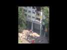 Grenoble : deux enfants sautent du 3e étage de leur immeuble pour échapper à un feu (Vidéo)