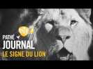 1963 : Le signe du lion | Pathé Journal